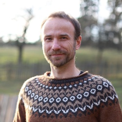 Vlastimil Auer